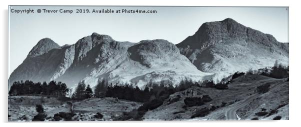 Langdale Pikes - Mono Acrylic by Trevor Camp