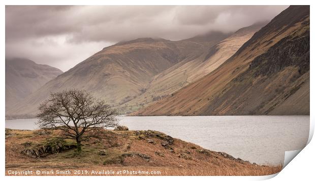 Lone Tree Wast Water Print by mark Smith