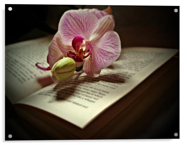 The Story Of An Orchid Acrylic by Aj’s Images