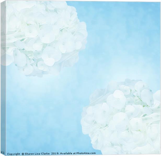Cotton soft hydrangeas 2 Canvas Print by Sharon Lisa Clarke