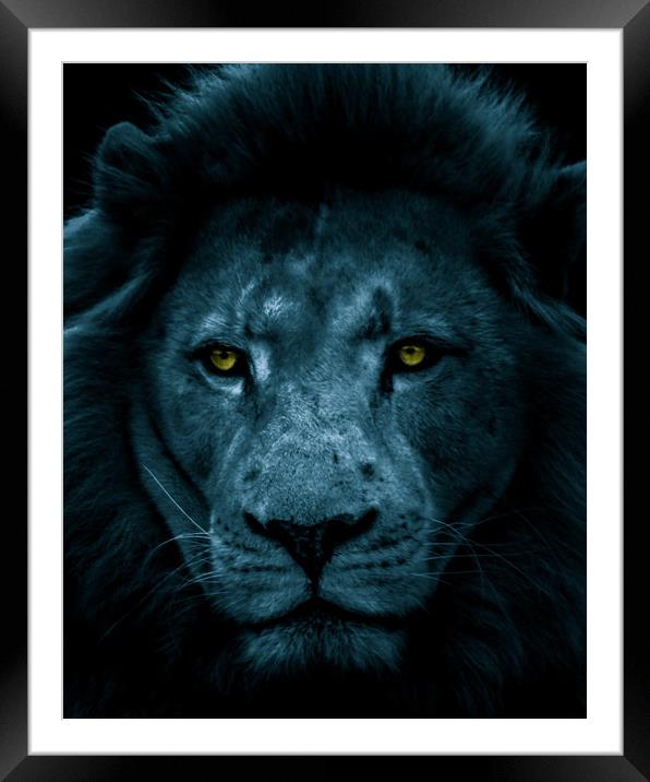 Male Lion Full Face Portrait - Toned Framed Mounted Print by Dave Denby