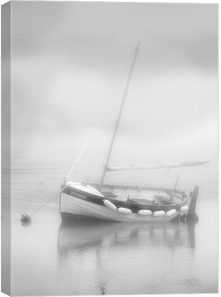 Zither in the Mist Canvas Print by Mike Sherman Photog