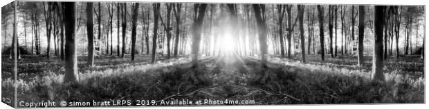 Bluebell woods sunrise in spring black and white Canvas Print by Simon Bratt LRPS