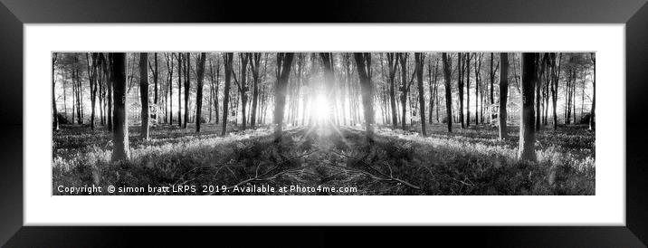 Bluebell woods sunrise in spring black and white Framed Mounted Print by Simon Bratt LRPS