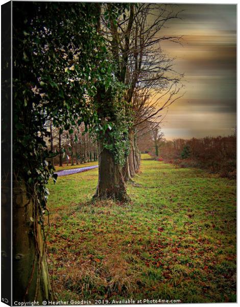 Tree Lined Walk Canvas Print by Heather Goodwin