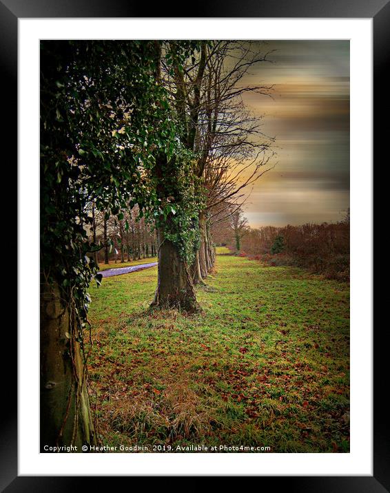 Tree Lined Walk Framed Mounted Print by Heather Goodwin