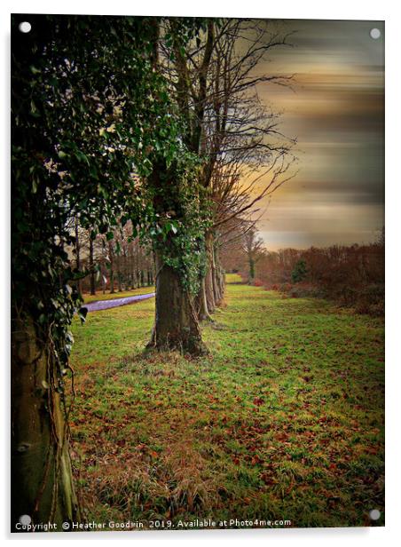 Tree Lined Walk Acrylic by Heather Goodwin