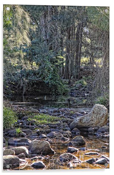 Strongs Creek II Acrylic by Adrian McMillan