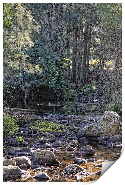 Strongs Creek II Print by Adrian McMillan
