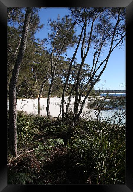 Jervis Bay Cove Framed Print by Adrian McMillan