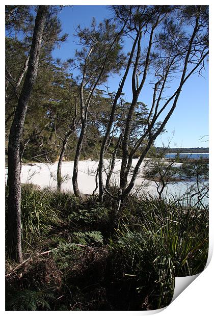 Jervis Bay Cove Print by Adrian McMillan