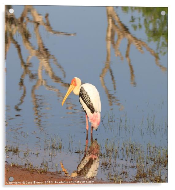 Painted Stork at the waddy Acrylic by Jane Emery