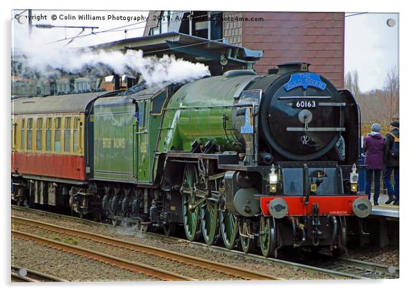 Tornado 60163 At Westfield Westgate 03.03.2019 Acrylic by Colin Williams Photography