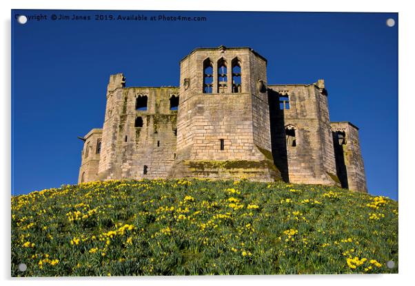 Warkworth Castle Keep in springtime Acrylic by Jim Jones