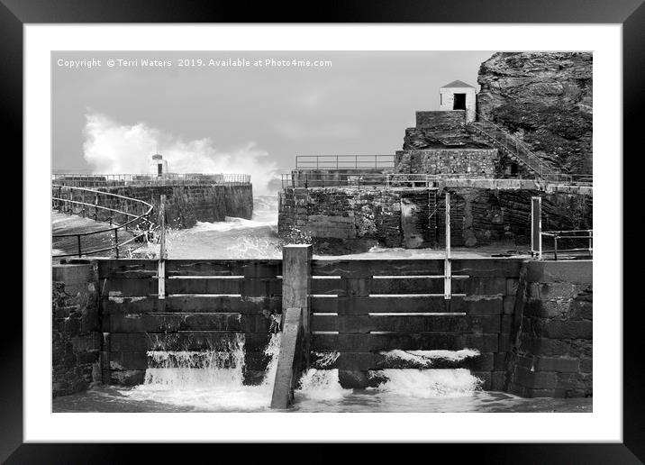 Portreath Harbour in Monochrome Framed Mounted Print by Terri Waters