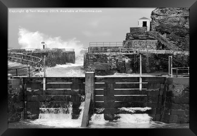 Portreath Harbour in Monochrome Framed Print by Terri Waters
