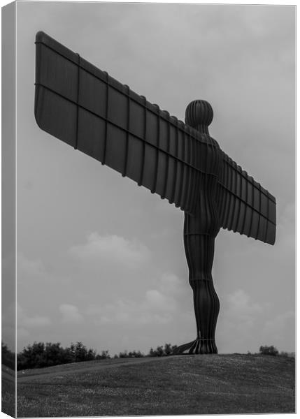 The Angel of the North Canvas Print by David Wilson