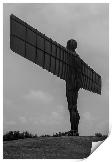 The Angel of the North Print by David Wilson