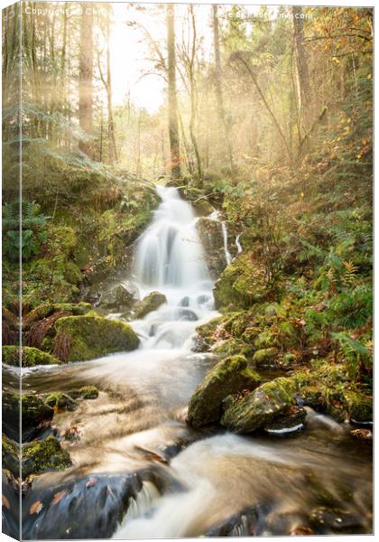 A Woodland Walk by the Waterfall Canvas Print by Christine Smart