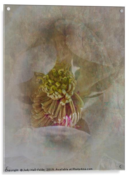 Magnolia Acrylic by Judy Hall-Folde