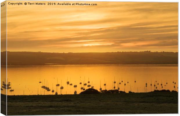 Sunrise Over The Roseland Cornwall Canvas Print by Terri Waters