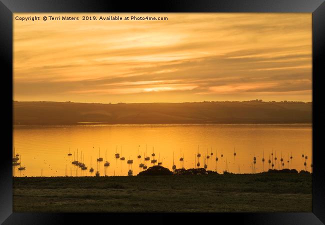 Sunrise Over The Roseland Cornwall Framed Print by Terri Waters