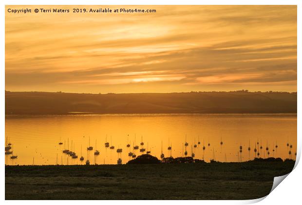 Sunrise Over The Roseland Cornwall Print by Terri Waters