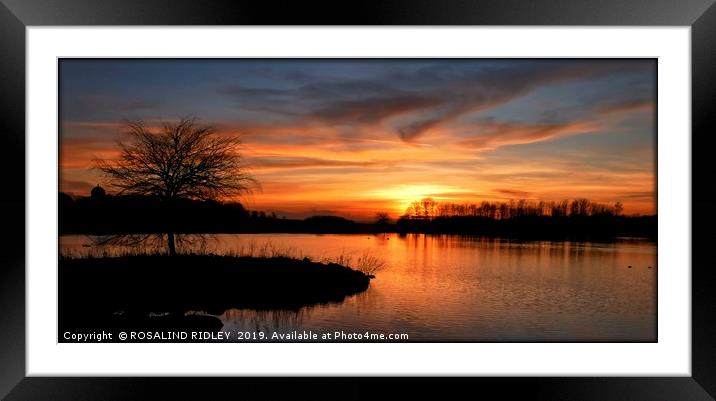 "Sunset across the lake" Framed Mounted Print by ROS RIDLEY