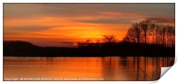 Sunset reflections across the lake Print by ROS RIDLEY