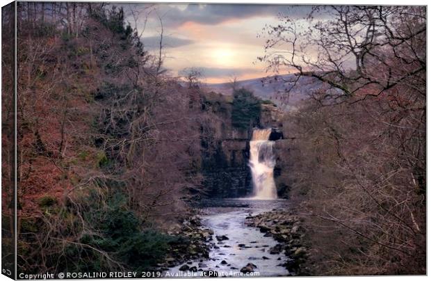 "Evening light at High Force" Canvas Print by ROS RIDLEY