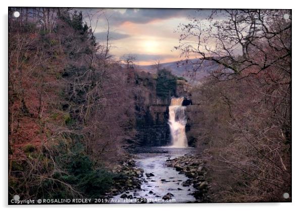 "Evening light at High Force" Acrylic by ROS RIDLEY
