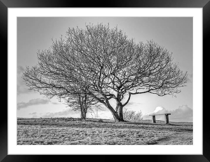 Tree in English Countryside Framed Mounted Print by Mike Gorton