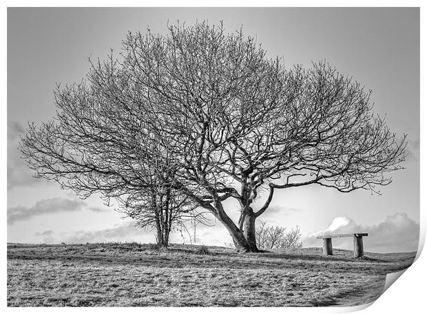 Tree in English Countryside Print by Mike Gorton