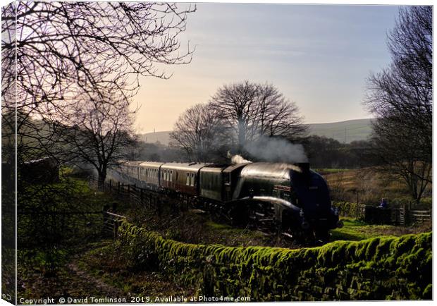 A4 60009 Union of South Africa at Horncliffe Canvas Print by David Tomlinson