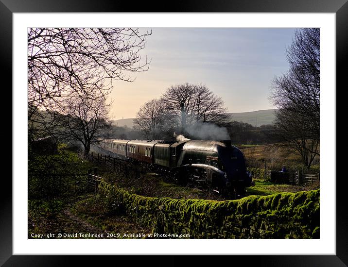 A4 60009 Union of South Africa at Horncliffe Framed Mounted Print by David Tomlinson