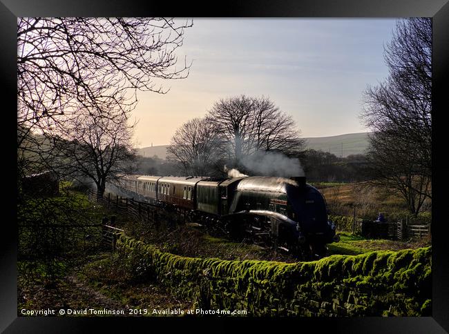 A4 60009 Union of South Africa at Horncliffe Framed Print by David Tomlinson