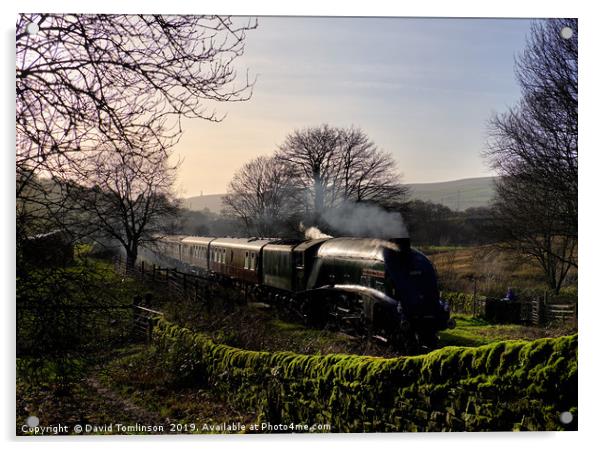 A4 60009 Union of South Africa at Horncliffe Acrylic by David Tomlinson