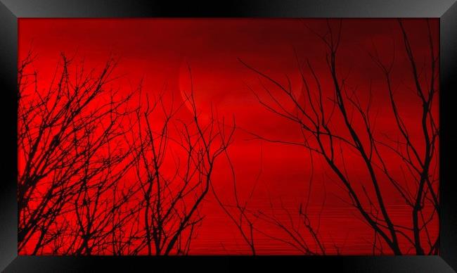 Mystical Red Sunset Framed Print by Beryl Curran