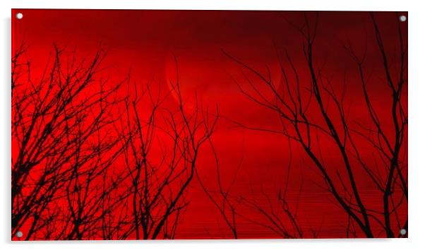 Mystical Red Sunset Acrylic by Beryl Curran