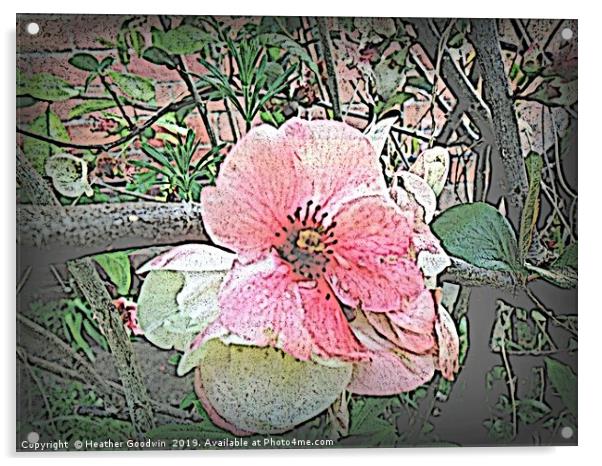 Blossom Acrylic by Heather Goodwin