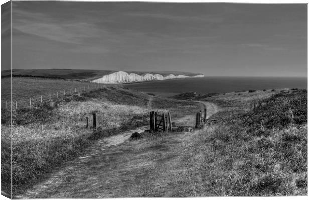 Seven Sisters Walk in Monochrome Canvas Print by Diana Mower