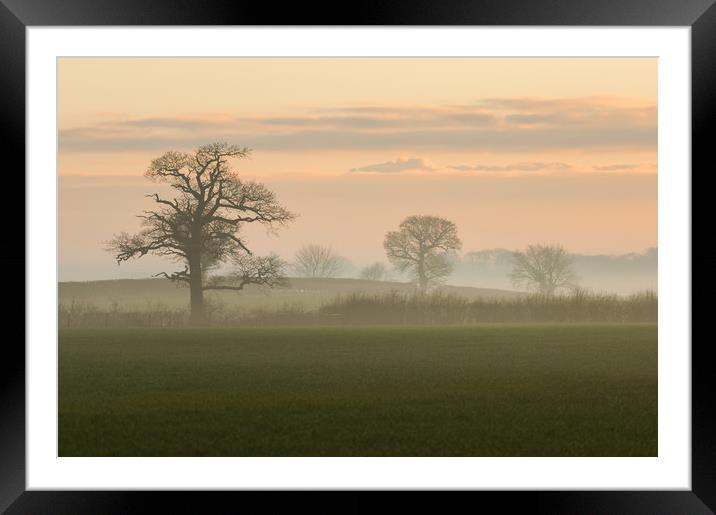 morning mist Framed Mounted Print by Jason Thompson