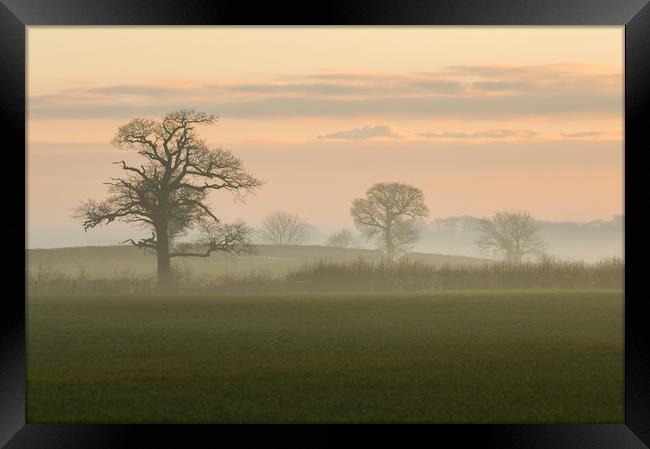 morning mist Framed Print by Jason Thompson