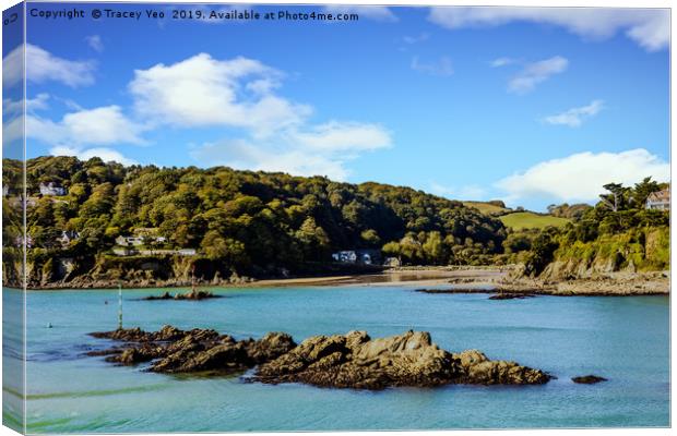 Salcombe Estuary At Low Tide. Canvas Print by Tracey Yeo