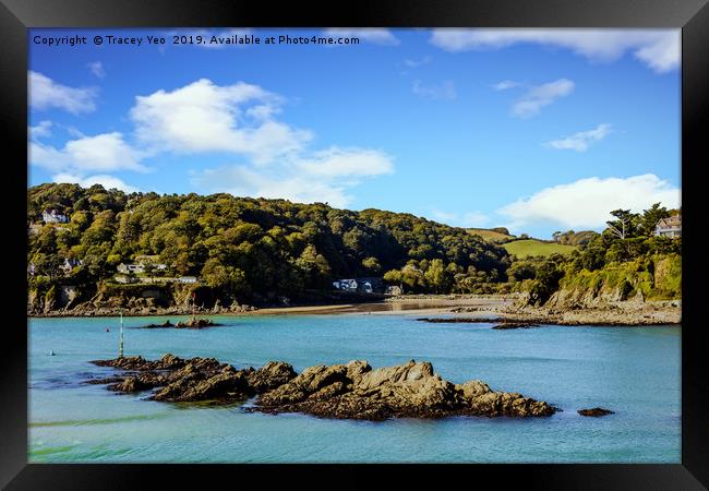 Salcombe Estuary At Low Tide. Framed Print by Tracey Yeo