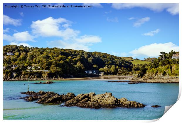 Salcombe Estuary At Low Tide. Print by Tracey Yeo