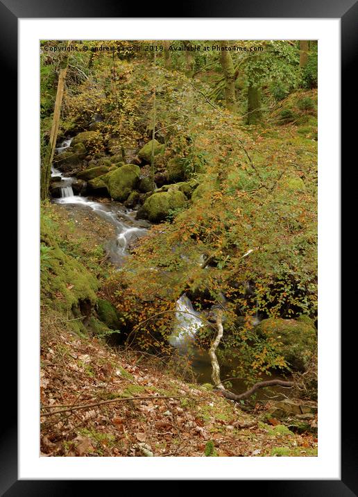 FALLS IN AUTUMN Framed Mounted Print by andrew saxton