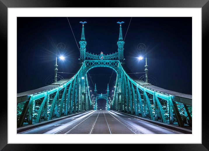 Liberty Bridge Framed Mounted Print by Svetlana Sewell
