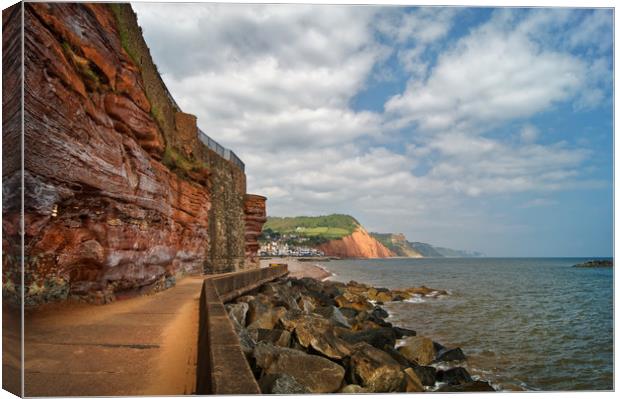 Coastline at Sidmouth                        Canvas Print by Darren Galpin