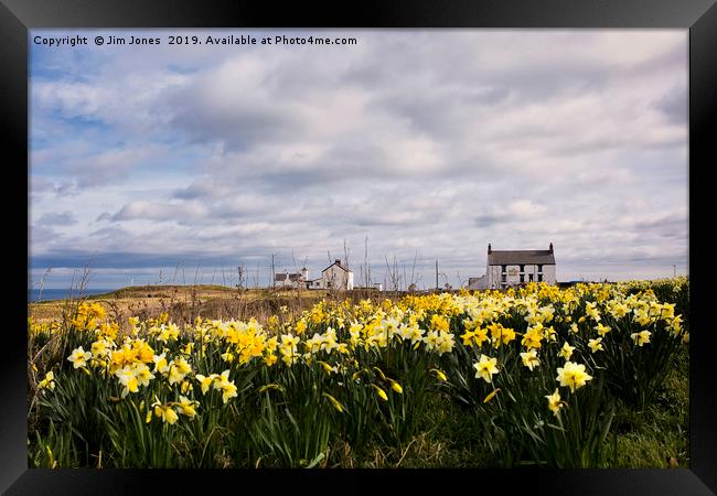 Seaton Sluice Harbour dressed for Spring Framed Print by Jim Jones